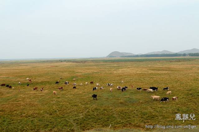 闪电河国家湿地公园