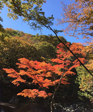 汉拿山国立公园旅游景点攻略图