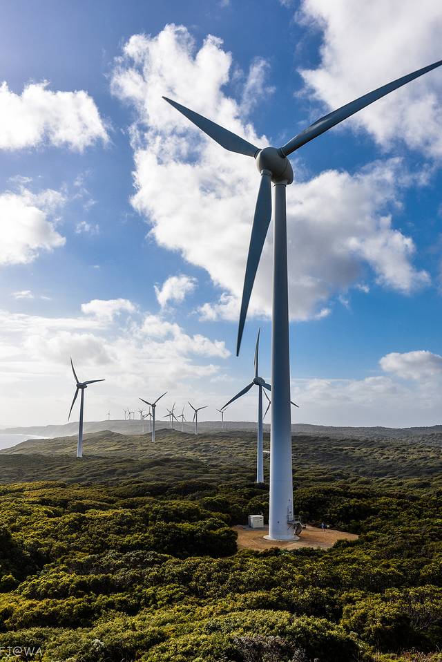 奥尔巴尼风力发电厂