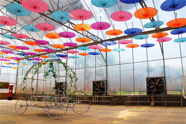 福容薰衣草花园