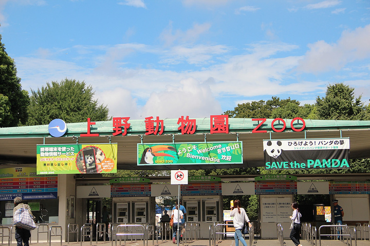 天很蓝,上野动物园到了