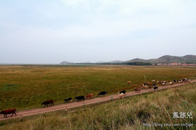 闪电河国家湿地公园