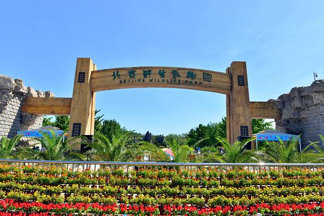 北京野生动物园
