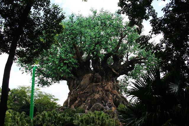 尼莫-迪士尼动物王国的音乐家