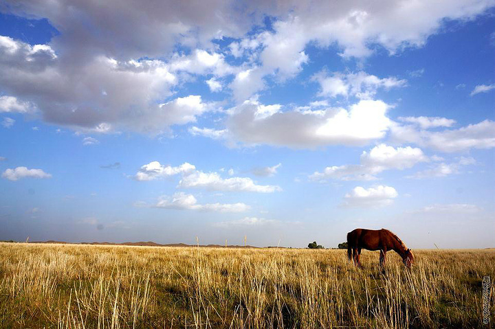2017相机不做防沙保护很容易就报废拉_库布齐