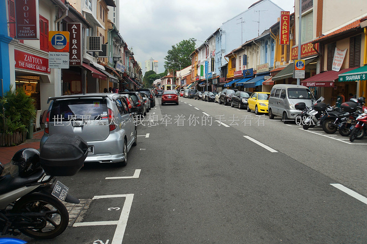 2017新加坡不亏是花园城市,到处都是绿色。小