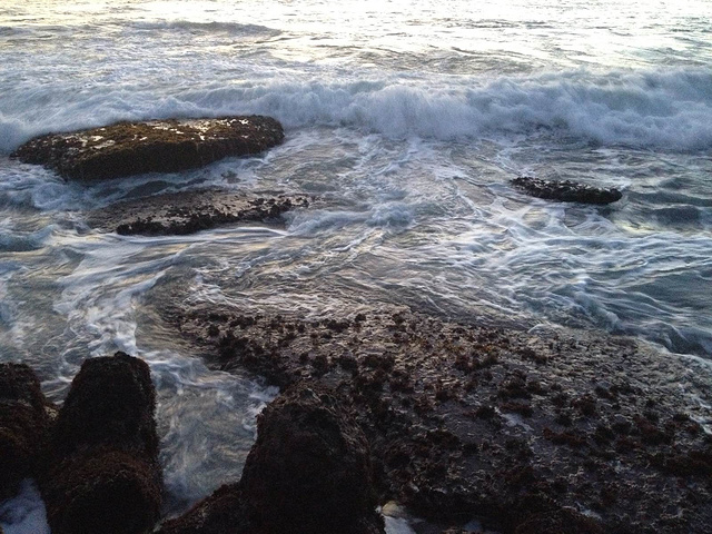晕黄的日落照射下,海浪凶猛地拍打着海岸,激起千层浪,景色壮观不已