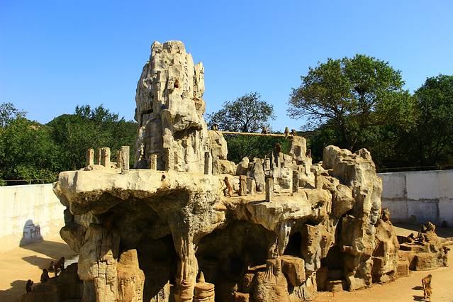 八达岭野生动物世界