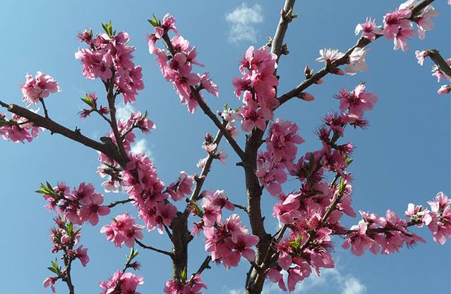 海塔世外桃源风景区