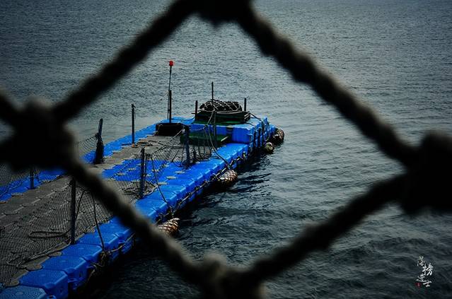 海上皇宫-海洋牧场