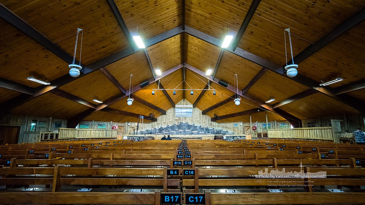 2017是新西兰面积最大的观光牧场_爱歌顿牧场