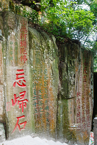 "这是非常值得看的_涌泉寺"的评论图片