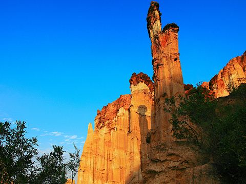 元谋土林旅游景点图片