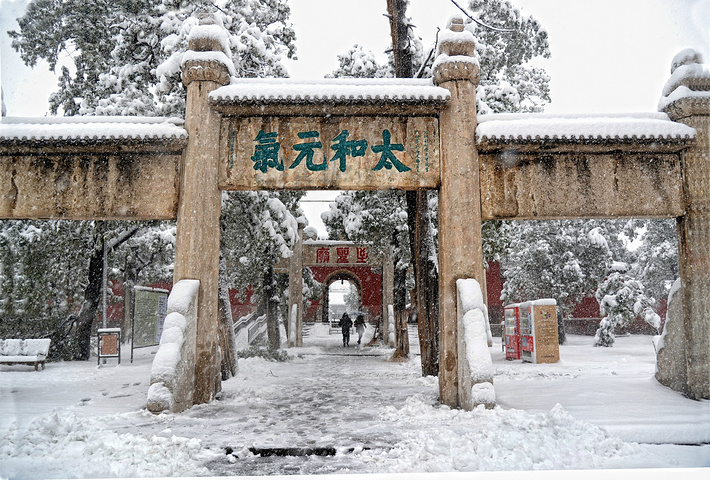 "...泛滥，亲眼目睹了这一惨烈现象：千年古柏的枝干在暴雪的重压下，不时发出可怕的断裂声，轰然折断落地_孔庙"的评论图片