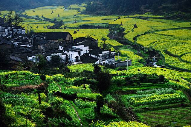 红了杜鹃,热了青春