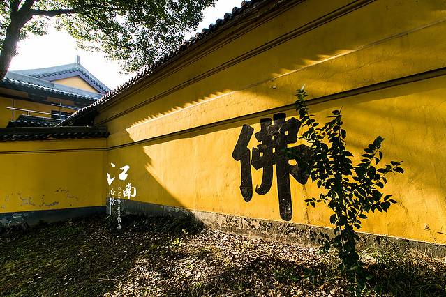 灵山胜境-阿育王柱