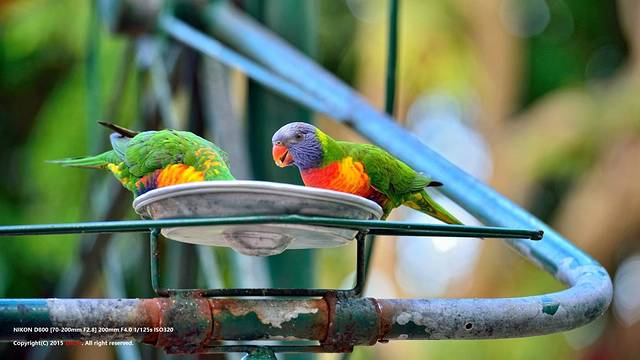 可伦宾野生动物保护区