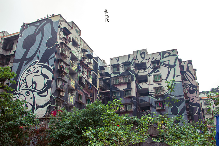 校园--是只有在离开之后才会发觉的最美丽.