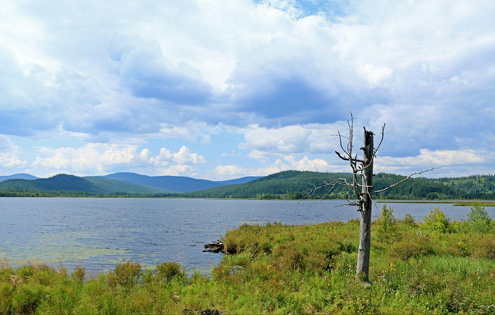 杜鹃湖,最美的时候当然是湖边杜鹃花盛开的时候,这也是湖名的来源