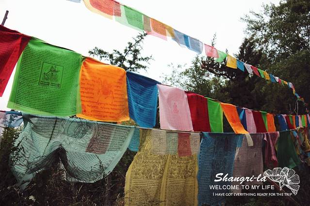 彩色的风幡 风幡在藏语中称为"隆达"直译为风马旗