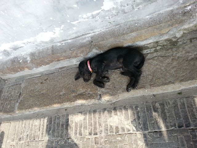 2017周杰伦的天涯过客MV取景点--西塘_西塘评