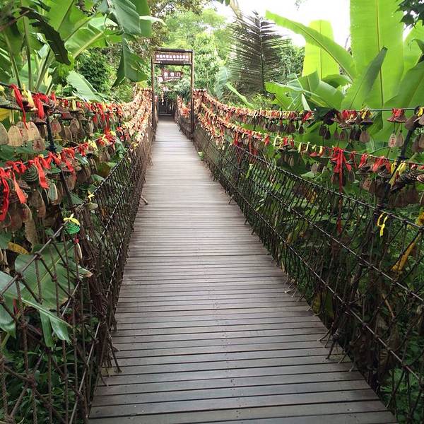 2018呀诺达雨林文化旅游区门票,保亭呀诺达雨