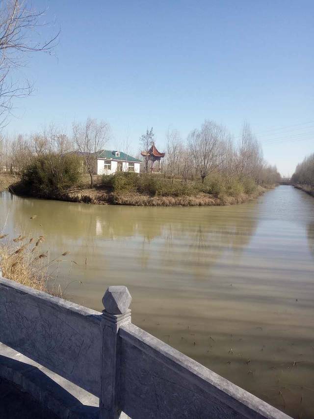 大河古渡文化园