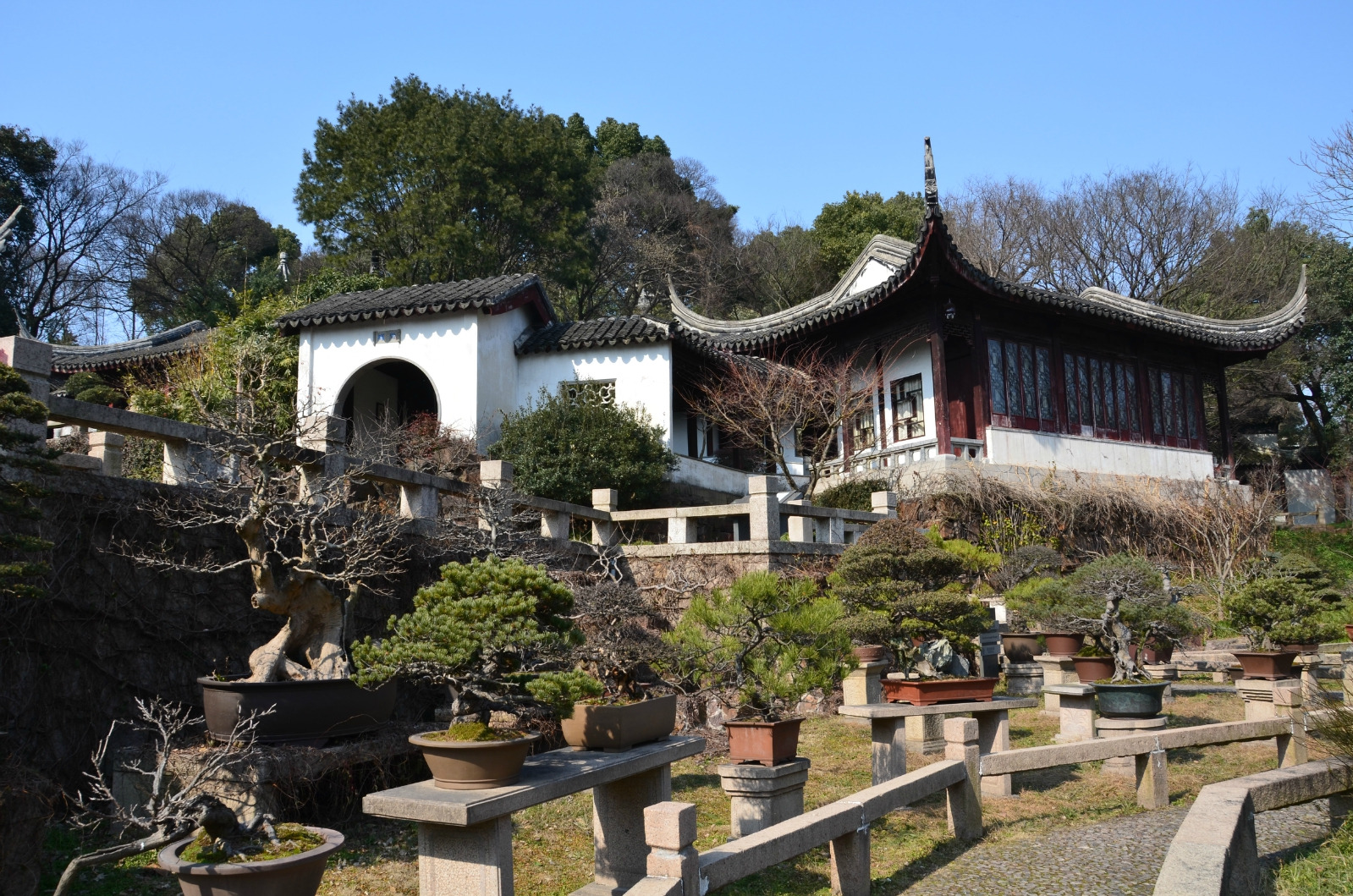 2024万景山庄游玩攻略,建议春秋两季来观看盆景更茂.【去哪儿攻略】