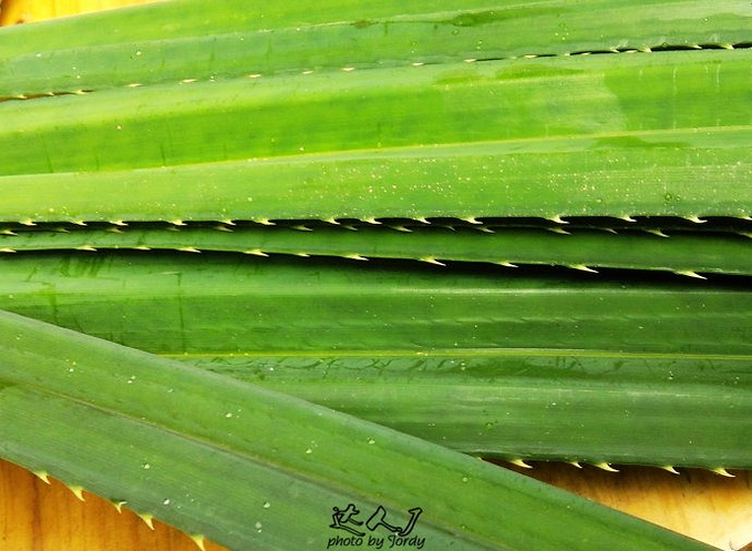 时隔五年,云浮你还好吗?