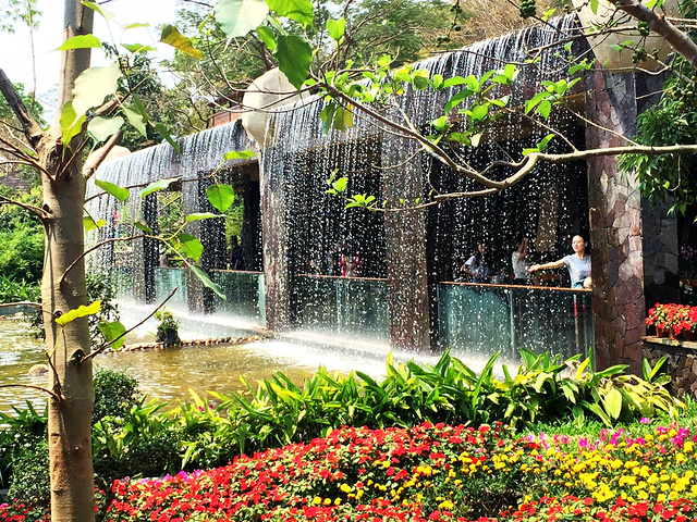 2018我们提前在网上预订了门票,到了直接取就