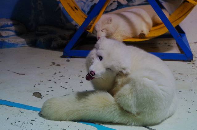 哈尔滨极地公园·海洋馆