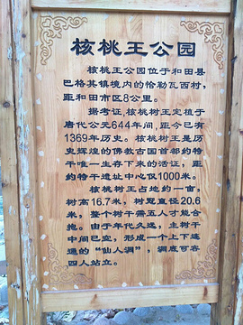 核桃王树旅游景点攻略图