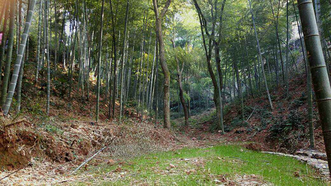 九峰山风景区旅游景点攻略图