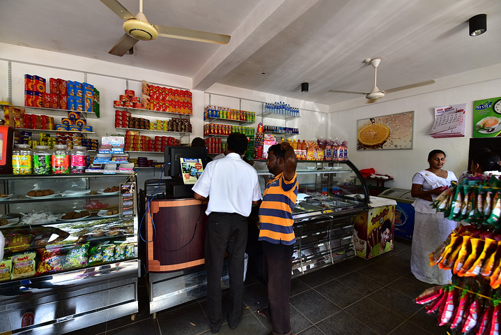 2017大象孤儿院是幼象们的天堂,也是游客们的