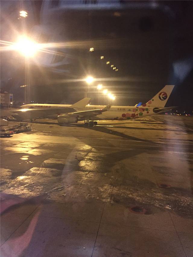 你好,考拉;再见,悉尼