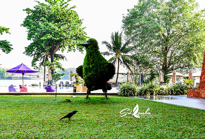 2017斯里兰卡科伦坡肉桂湖畔酒店 (Cinna._肉