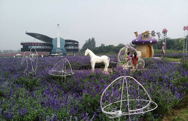 洛阳薰衣草庄园