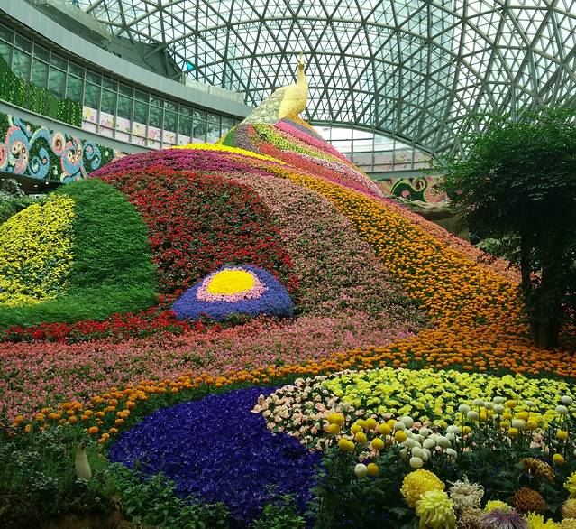 七彩云南花之城