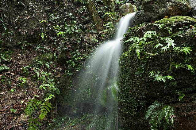 万绿湖•镜花缘游览区