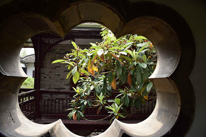 处就是何园主人引进了西方建筑的特色何芷舠一定是一个很开明很有时代