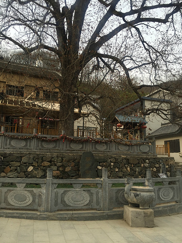 "夏季最热时,景区的温度也才20多度,再加上700-1000m的海拔,空气含氧量非常高,让人感觉很清爽_重渡沟风景区"的评论图片