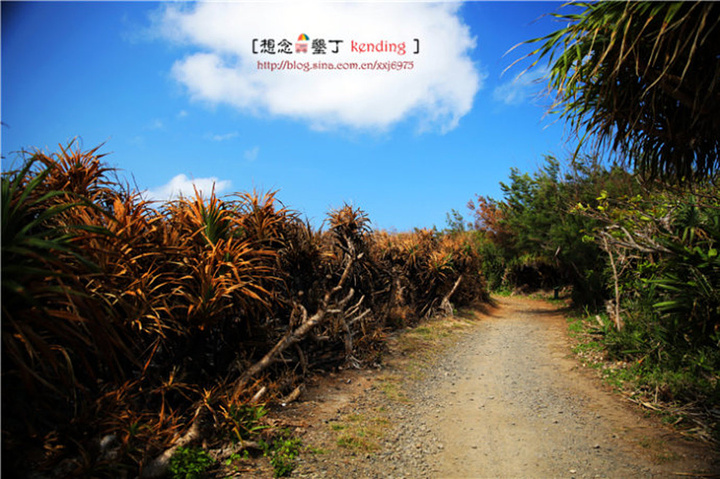 2017.感受生态平衡的景象,为了知道爱护环境的