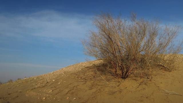 黄沙古渡原生态旅游区