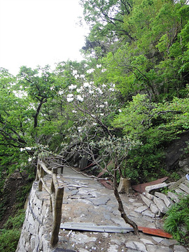 湖北英山大别山南武当旅游区旅游景点攻略图