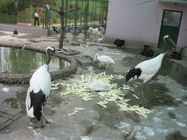 2017本溪市动物园_旅游攻略_门票_地址_游记点评,本溪旅游景点,酒店