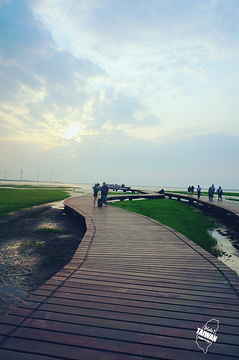 高美湿地旅游景点攻略图