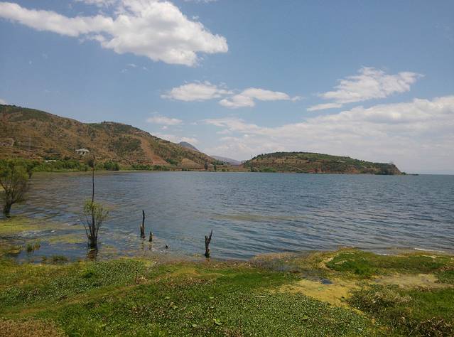 环洱海双层观光车