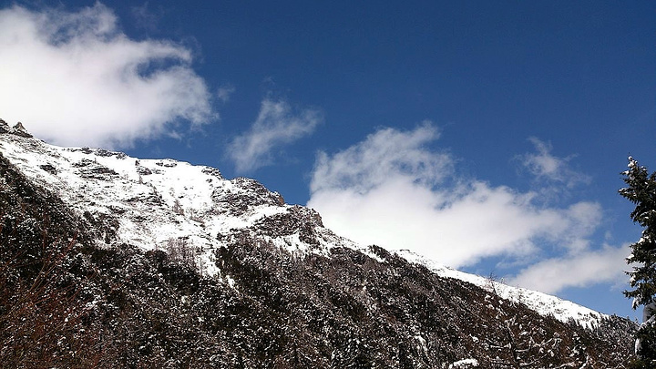 "经过昨天海拔较高的梦笔山，我觉得我爬玛嘉沟这座雪山完全不用担心高反了。木栈道上的羊群_玛嘉沟"的评论图片