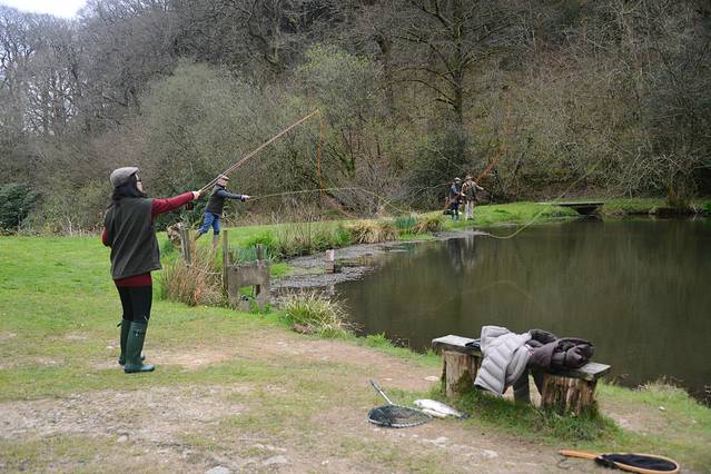 海勒斯顿庄园 Hillersdon House