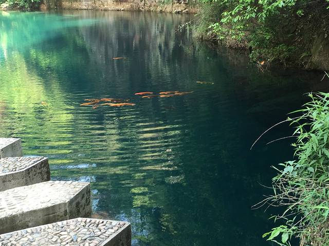 大奇山国家森林公园